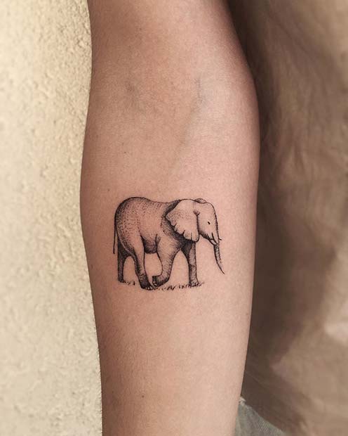 Cute Elephant Arm Tattoo for Elephant Tattoo Ideas