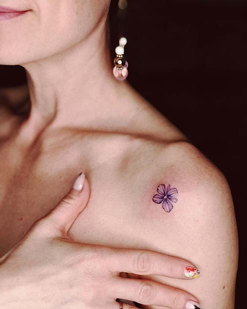 Pretty and Colorful Flower