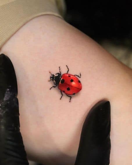 3D Ladybug Tattoo Design