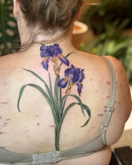 Big Iris Tattoo on the Back