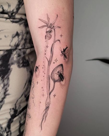 Calypso Orchid with Firefly Tattoo
