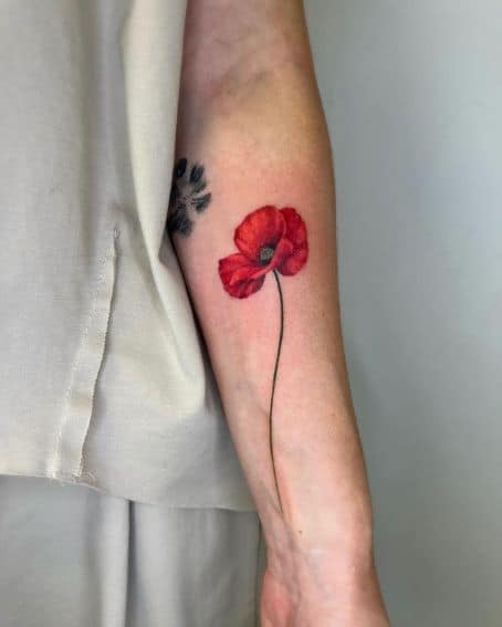 Colored Poppy Flower Tattoo on Arm