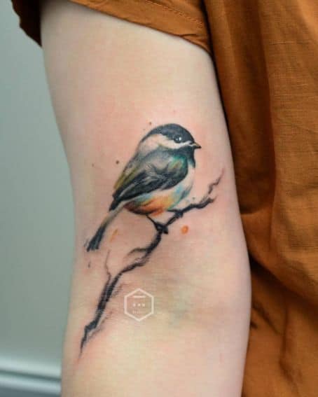 Cute Little Chickadee Tattoo on The Arm