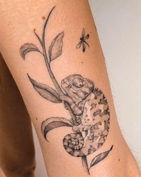 Dragonfly and Chameleon Tattoo