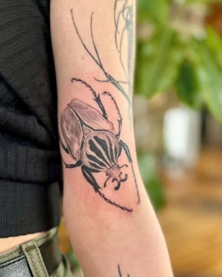 Entomology Beetle Tattoo
