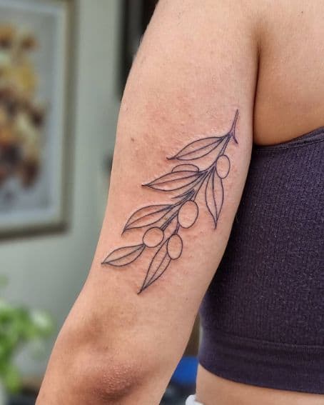 Fine Line Olive Branch Tattoo