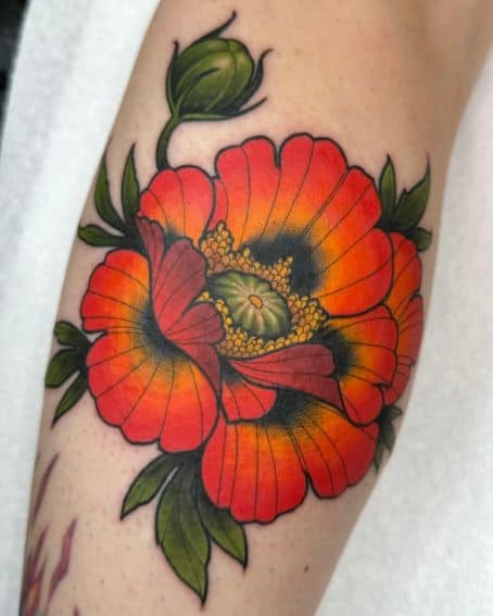 Freehand Poppy Flower Tattoo