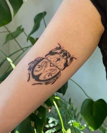 Funky Little Atlas Beetle Tattoo