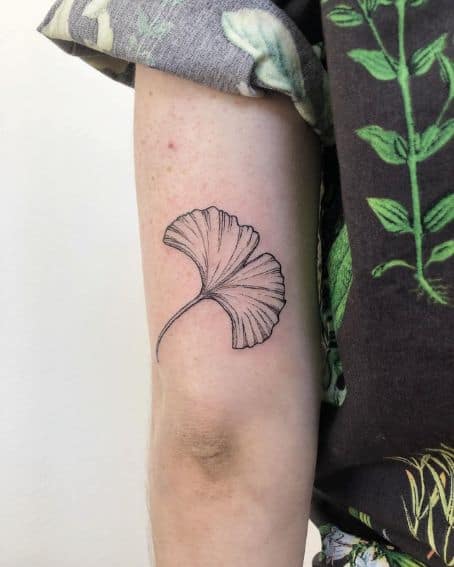 Ginkgo Leaf Tattoo on Above The Back Elbow