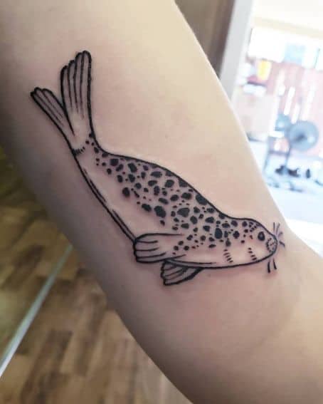 Harbor Seal Tattoos