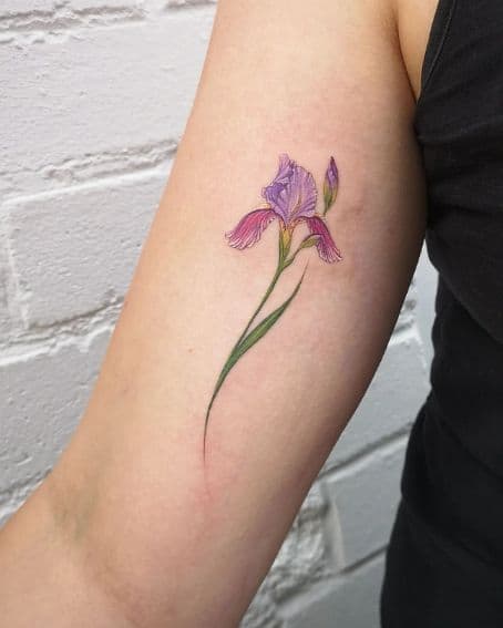 Illustrative Iris Tattoo Design