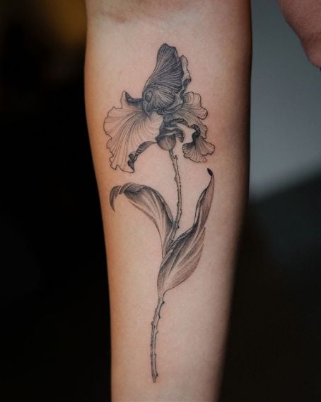 Iris Flower Tattoo on Arm