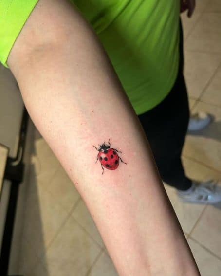 Ladybug Tattoo on the Arm