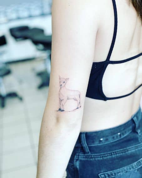 Lamb Tattoo on Back Elbow