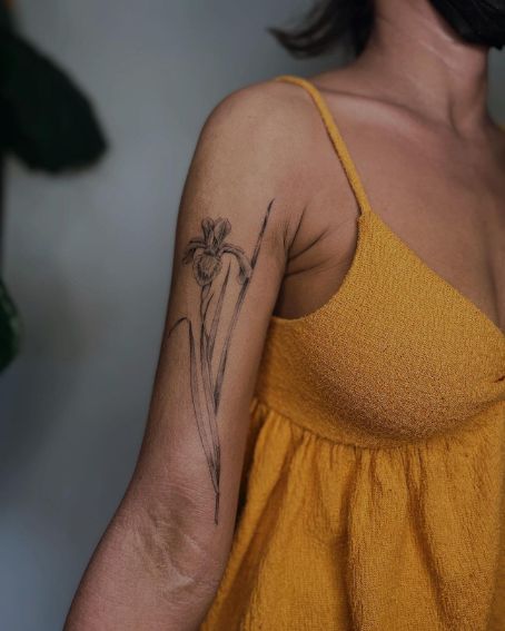Line Work Iris Tattoo on Arm