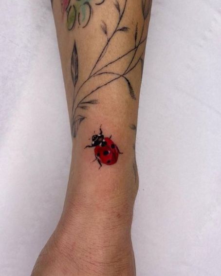 Little Ladybug Tattoo on Wrist
