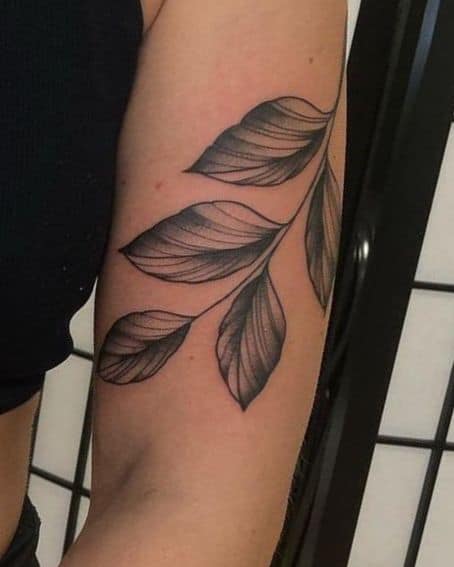 Olive Branch Tattoo with Large Leaves