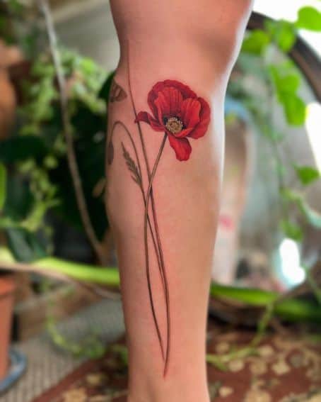 Poppy Flower Tattoo on Whole Lower Leg