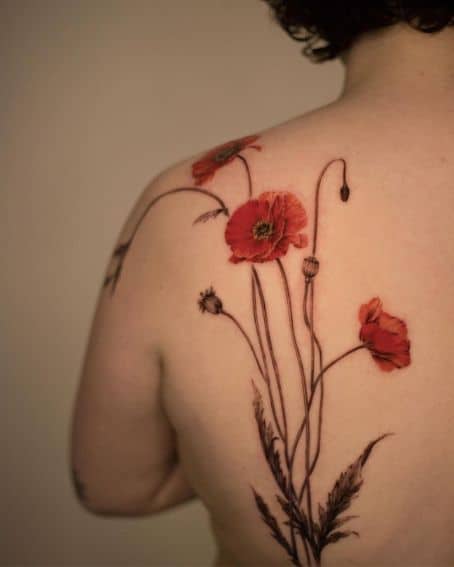 Poppy Flowers Tattoo on Back Shoulder
