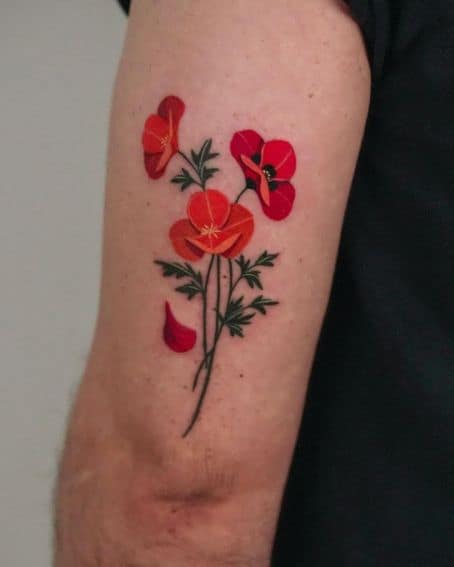 Poppy Flowers Tattoo on Upper Arm