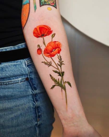 Poppy Tattoo on Back of The Arm