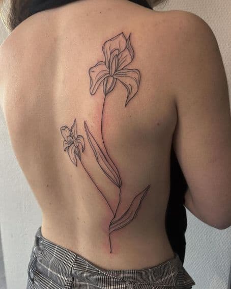 Pour Iris Tattoo on Back Shoulder