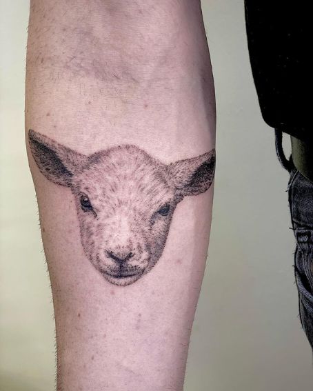 Realistic Lamb Tattoo on a Lamb