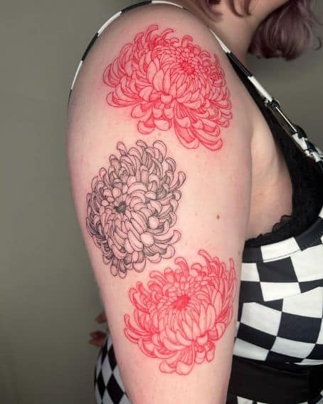 Red and Black Chrysanthemums Tattoo