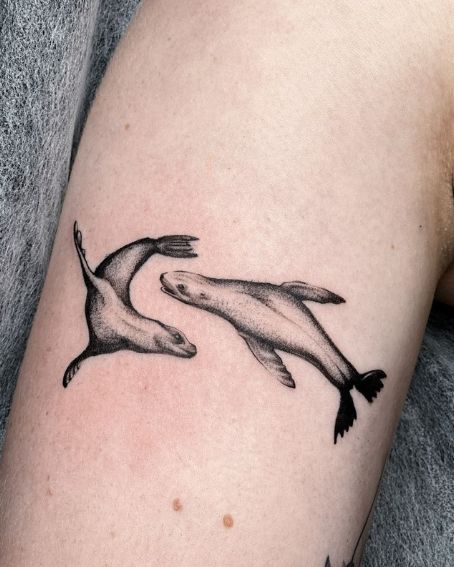 Seals Playing Tattoo