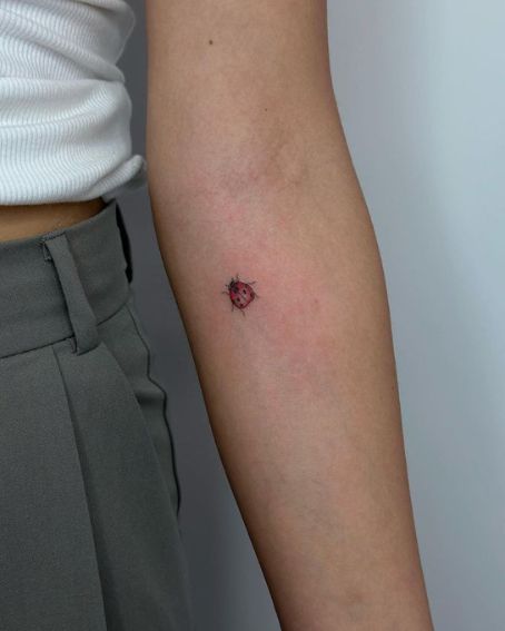 Tiny Ladybug Tattoo Near the Elbow
