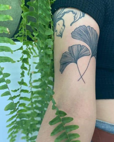 Two large Ginkgo Leaf Tattoo Designs